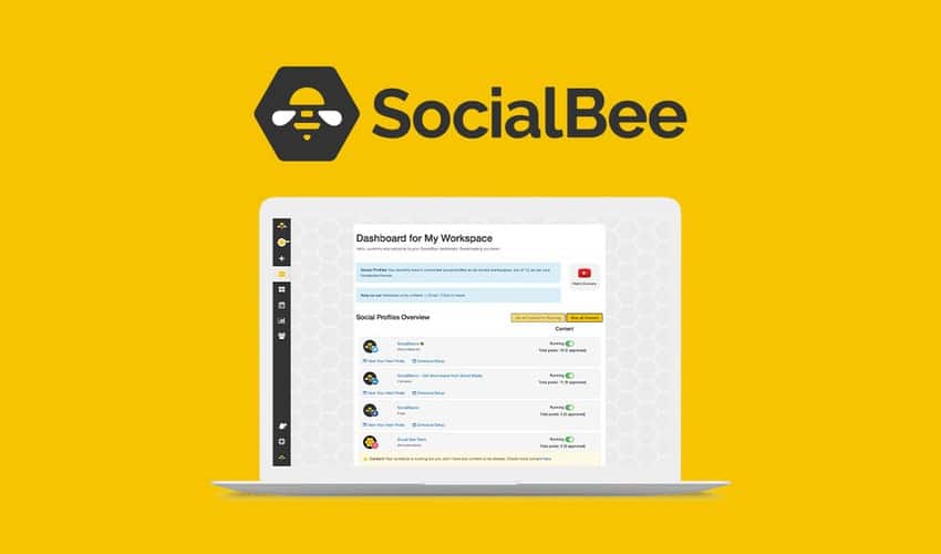 Buffer alternatives - SocialBee
